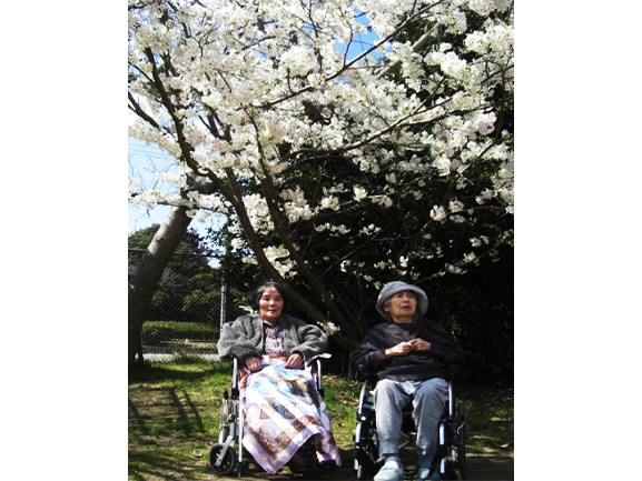 春は施設前の公園でお花見
