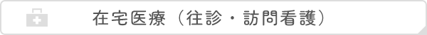 住宅医療（往診・訪問看護）
